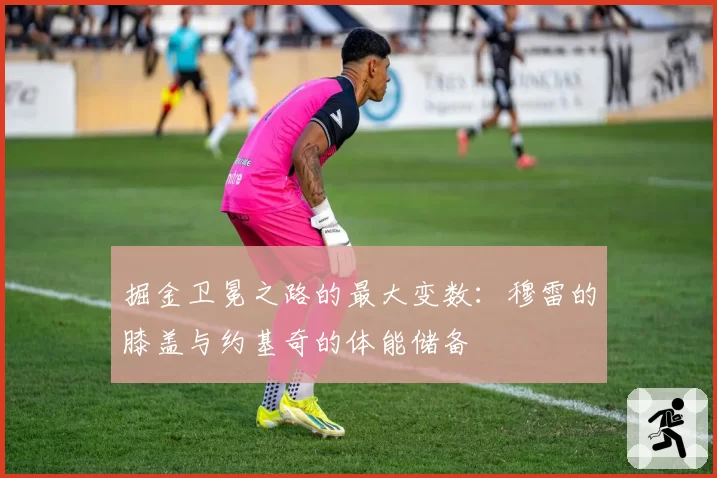 掘金卫冕之路的最大变数：穆雷的膝盖与约基奇的体能储备