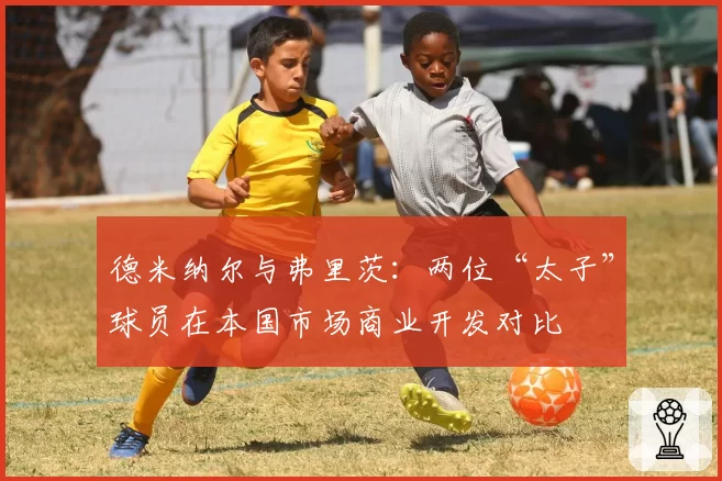 德米纳尔与弗里茨：两位“太子”球员在本国市场商业开发对比